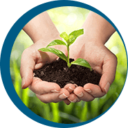 ultravix kapszula összetétele